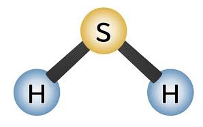 Hydrogen Sulphide (H2S): Accidents and Prevention in construction industry